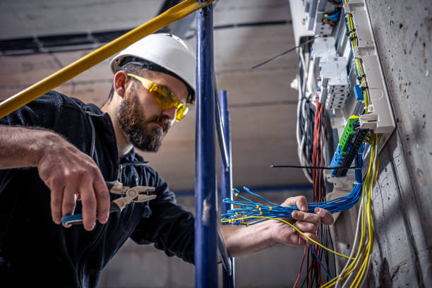 Best Affordable Electrician  in Webster, FL